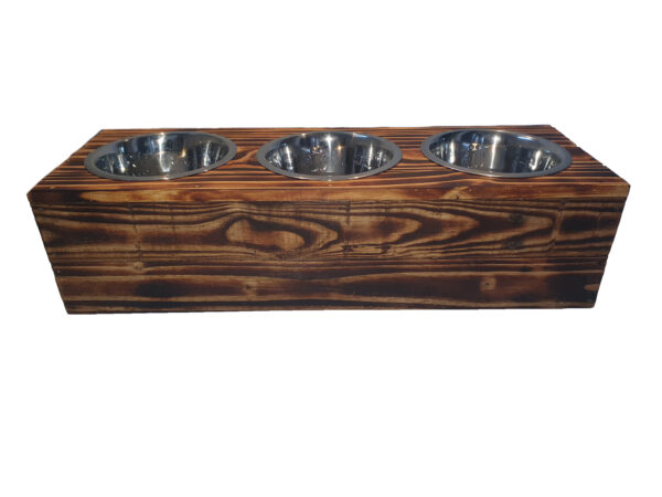Triple Dog Feeding Station